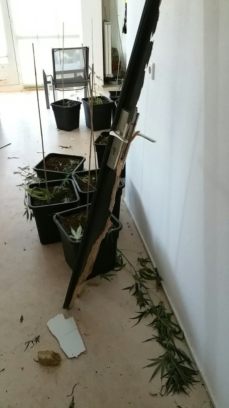 CVYfMW1VEAAeLpY.jpg large